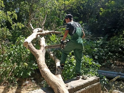 Коммунальщики занимаются устранением аварийно опасных деревьев и вывозом сухих веток