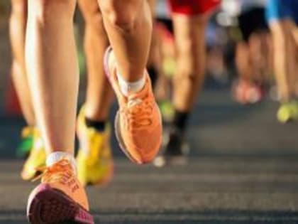 Новые ограничения на улично-дорожной сети города