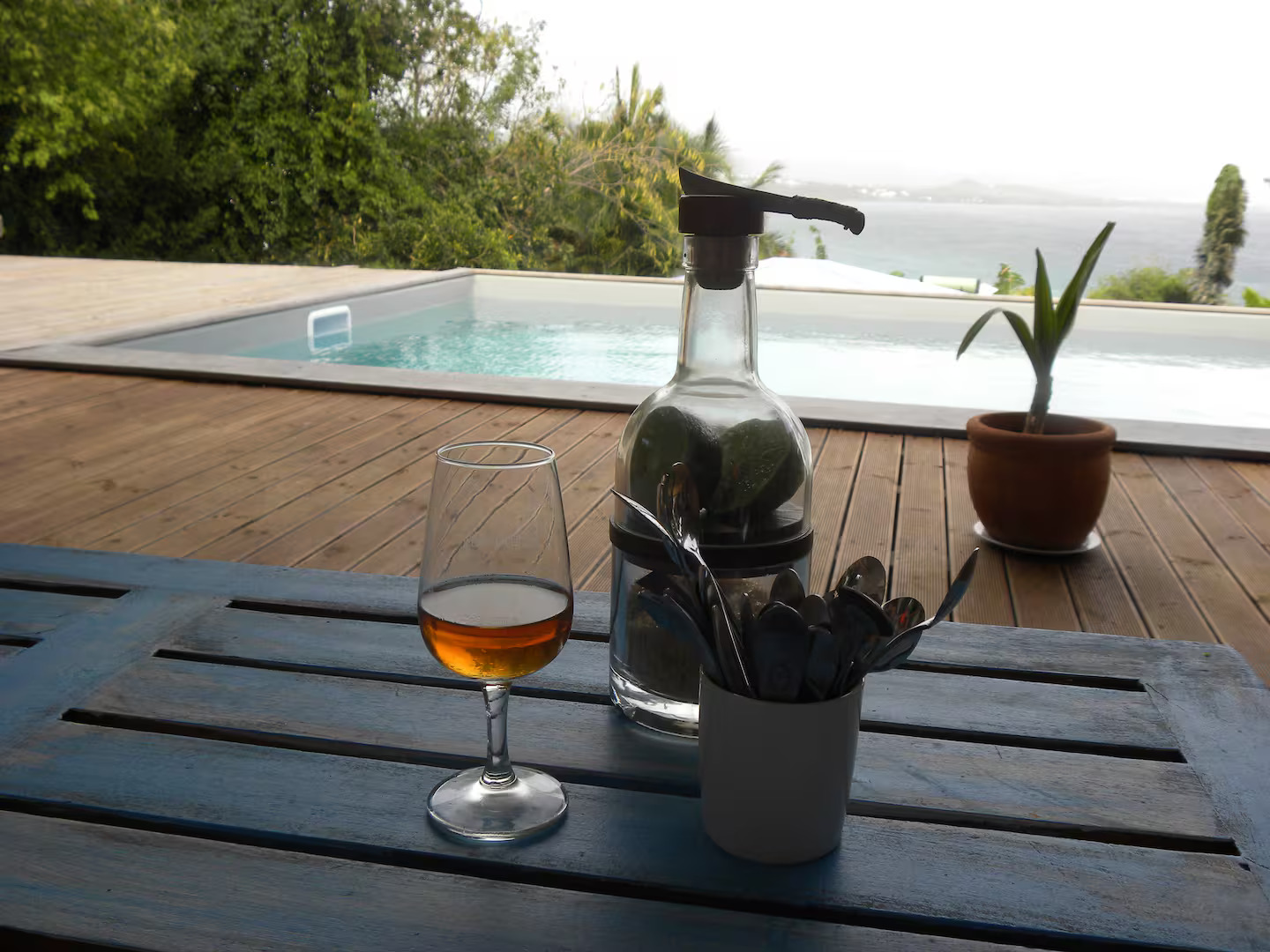 Rhum et piscine vue mer, Villa Diamantilles Le Diamant