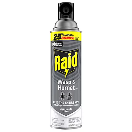 RAID WASP & HORNET SPRAY 1/17 OZ (UND)