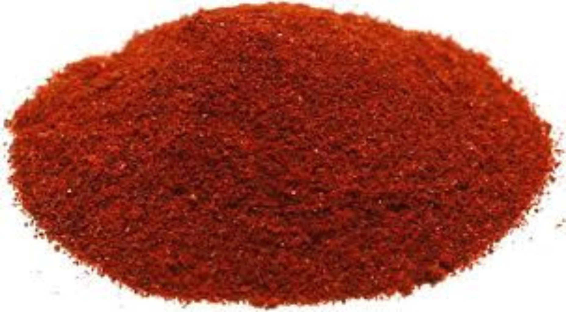 FS SPICE CHILI POWDER  1/5LB