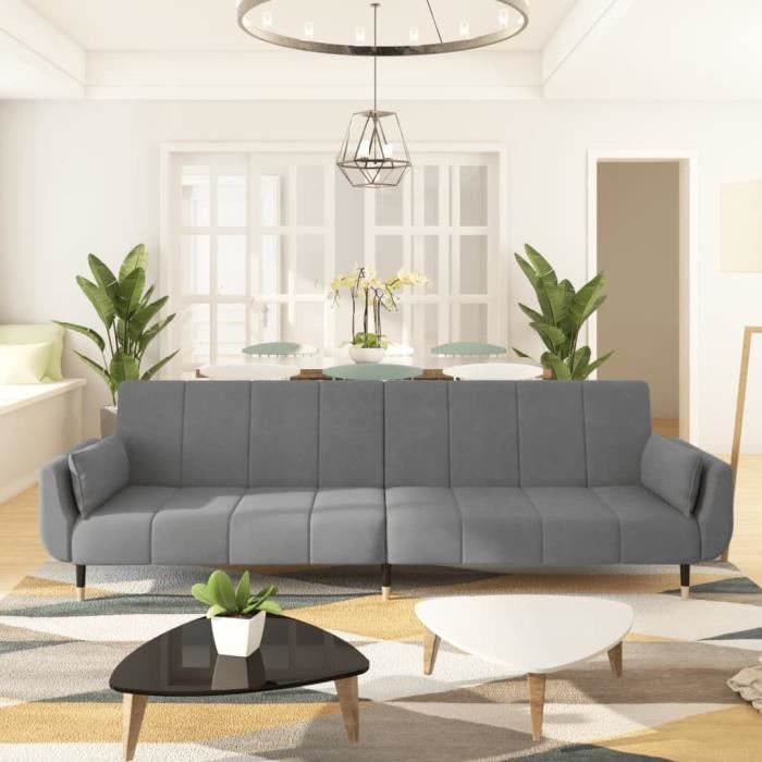 Zerodis Canapé-lit à 2 places avec deux oreillers Gris clair Velours AB337582 HB022