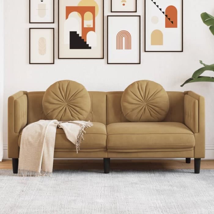 Canapé salon séjour | Canapé avec coussins 2 places | marron velours 173,5x77x70 cm