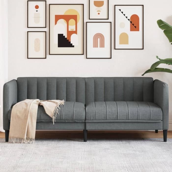 Canapé salon séjour | Canapé à 2 places | gris foncé tissu 176x76,5x74,5 cm