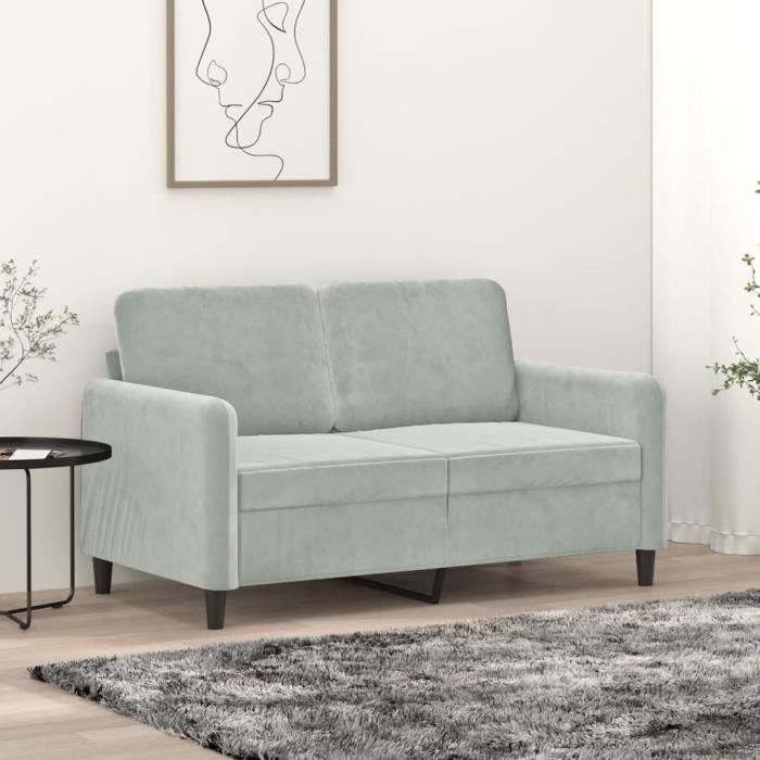 Canapé salon séjour | Canapé à 2 places | Gris clair 120 cm Velours 138x77x80 cm