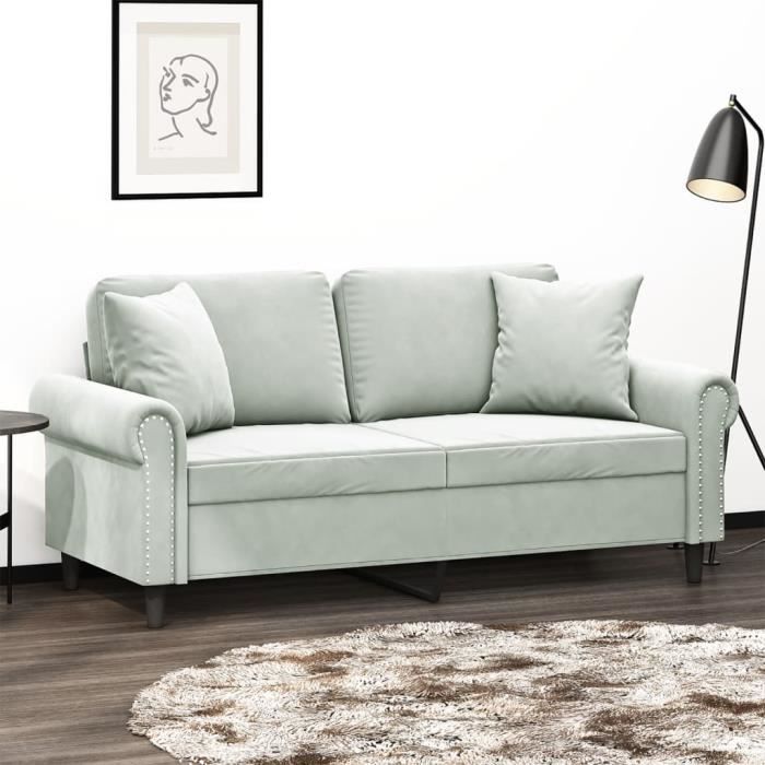 Canapé salon séjour | Canapé 2 places | avec oreillers gris clair 140 cm velours 172x77x80 cm