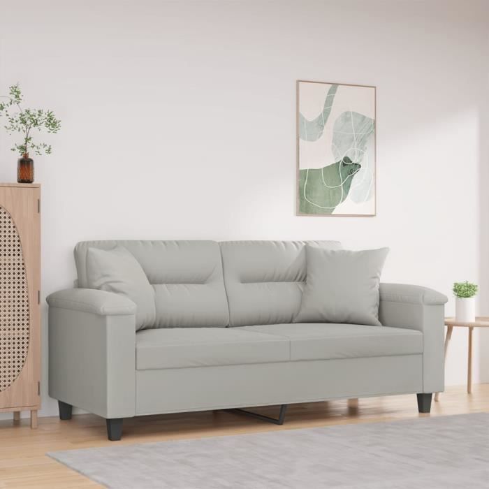 Canapé salon séjour | Canapé 2 places | avec oreillers gris clair 140 cm 170x77x80 cm