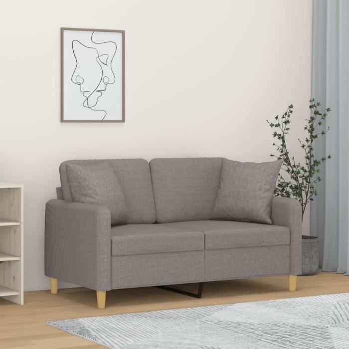 Canapé salon séjour | Canapé 2 places | avec oreillers gris clair 120 cm tissu 138x77x80 cm