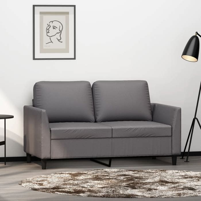 Canapé rétro salon/ Canapé à 2 places - gris 120 cm - Similicuir CC50068284