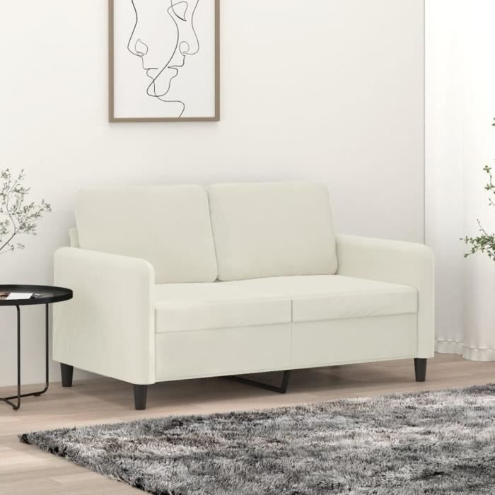 Canapé à 2 places Crème 120 cm Velours - SALUTUYA - BD6535