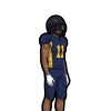 Ramani Fuller