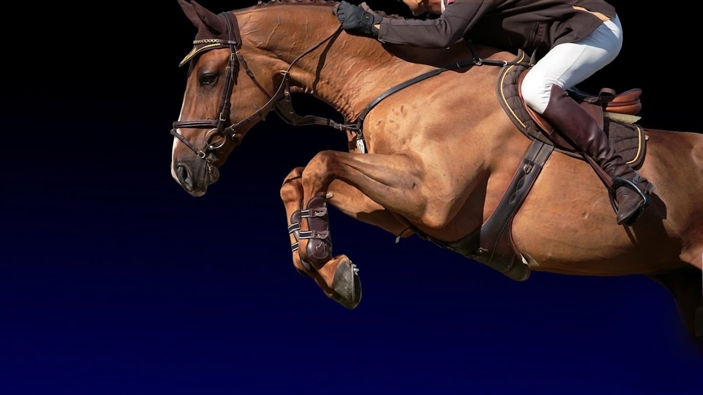 club banner