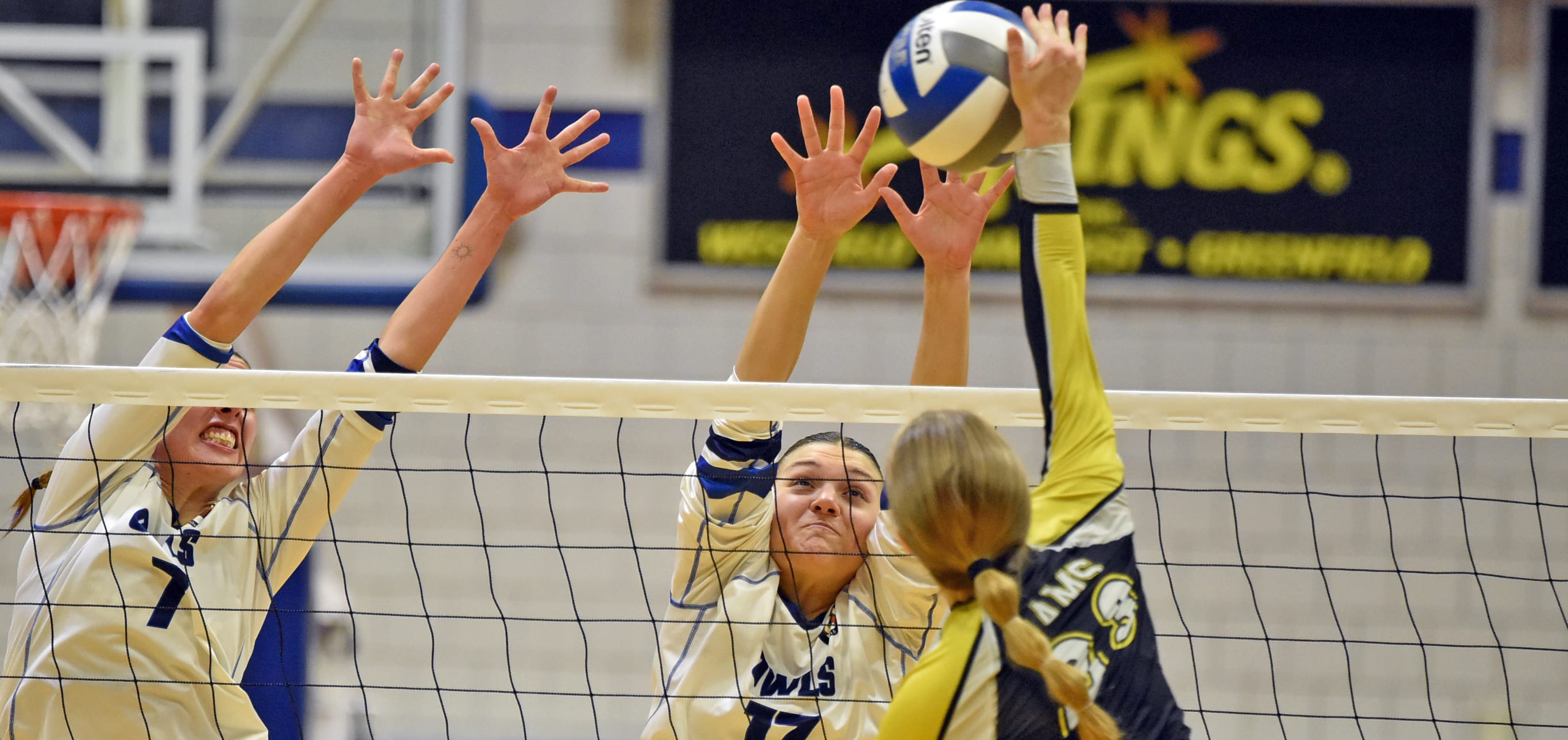 NIL Club For Westfield State University Women s Volleyball Team