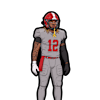 Brandon Hayes Jr