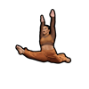 Jasmine Dewane