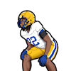 Jordan Fields