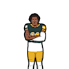 SJ Green