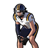 Nolan Roehl