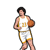 Matt Noll