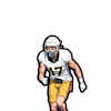 Ty Johnson