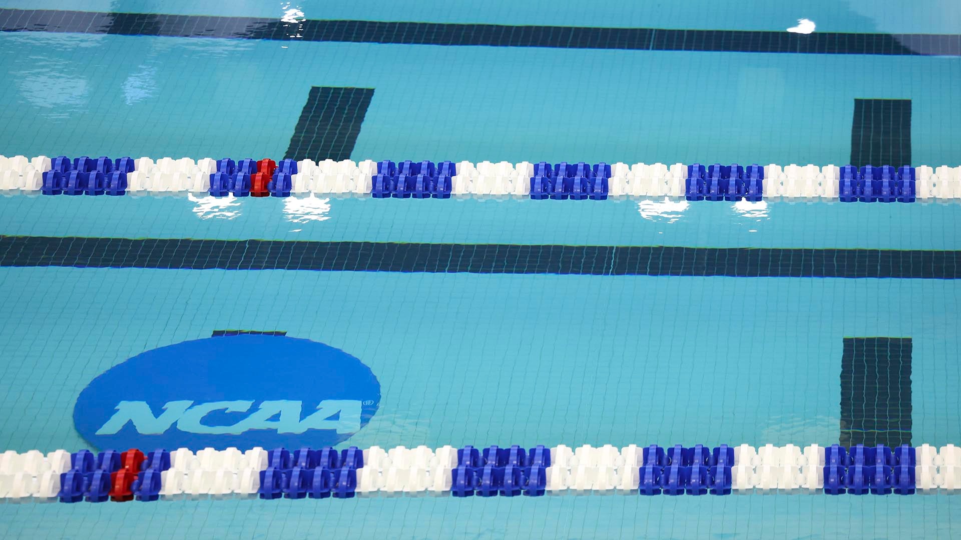 nil-club-for-colorado-men-s-swimming-diving-team