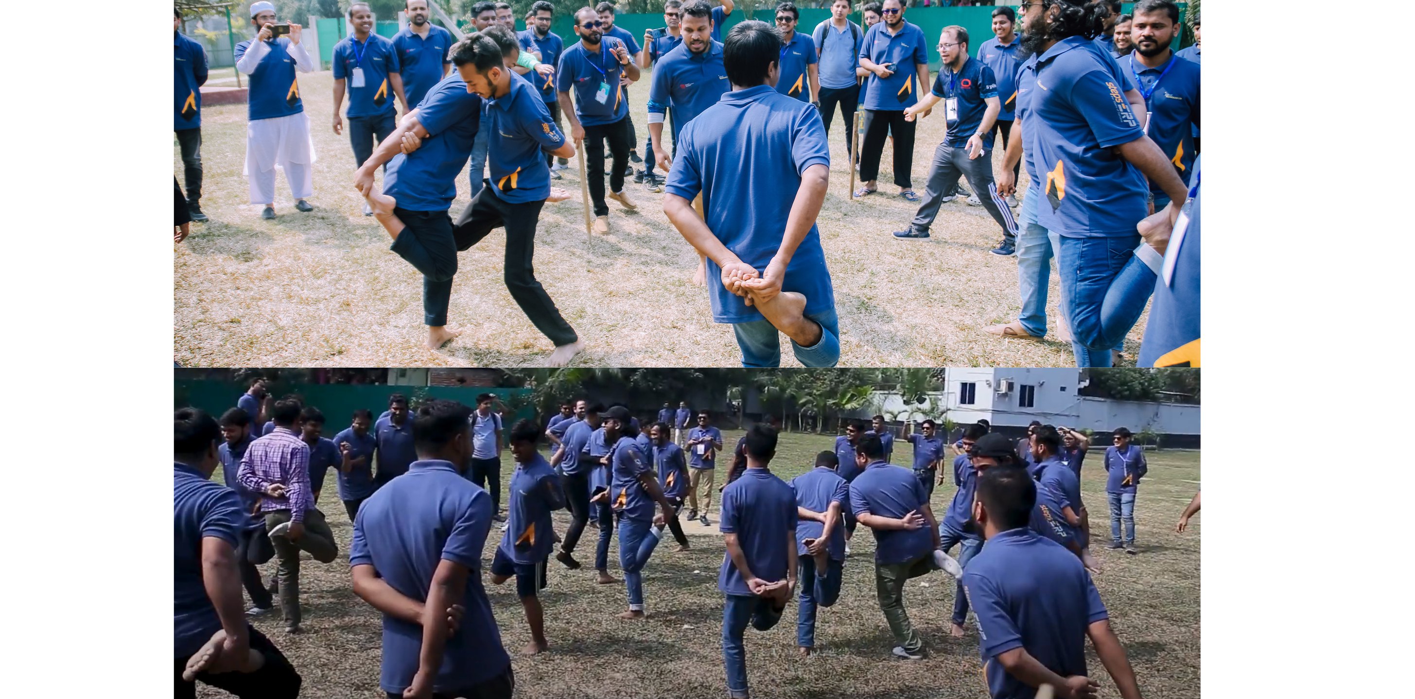 মোরগ লড়াই