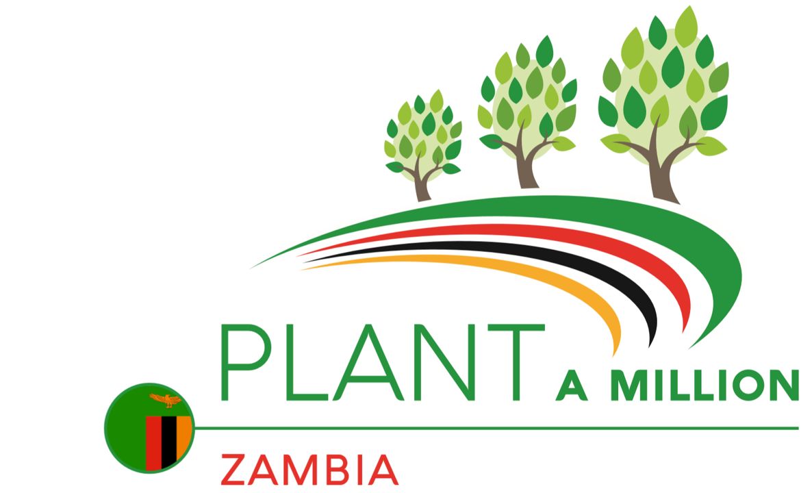 Plant A Million Zambia