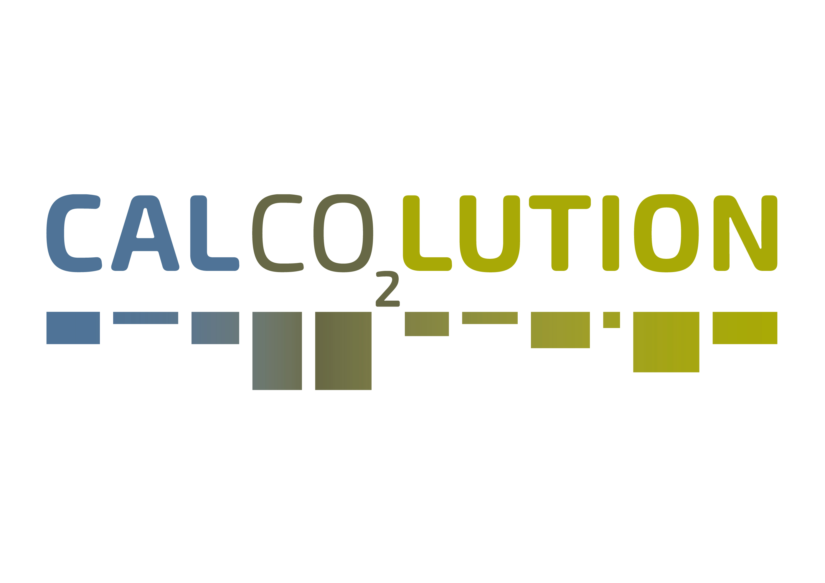 Calcolution