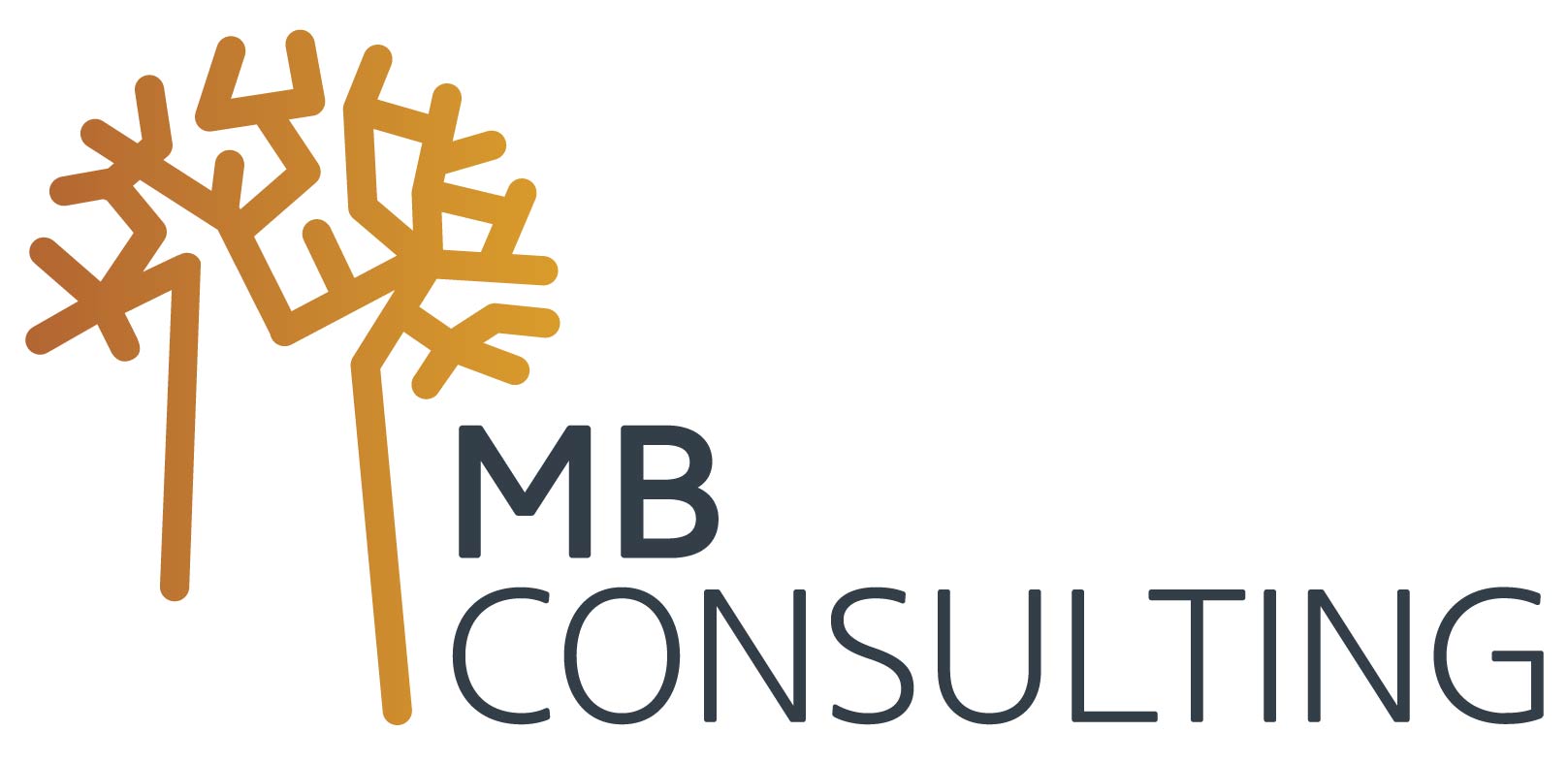 MB Consulting