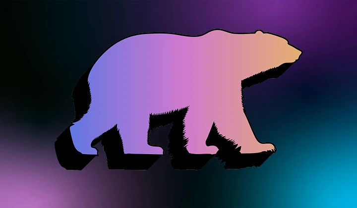 Surviving the Crypto Bear Market: What Sets Winning Projects Apart