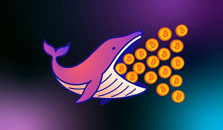 Cold Wallet