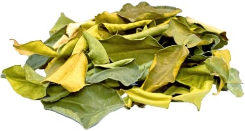 Vue 3 de Feuilles De Citron Kaffir