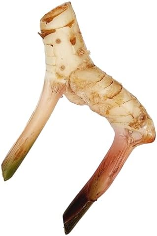 Vue 6 de Poudre De Galanga Fabriquee