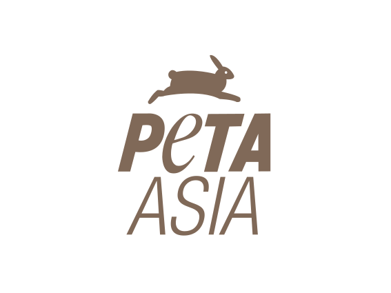 Peta Asia