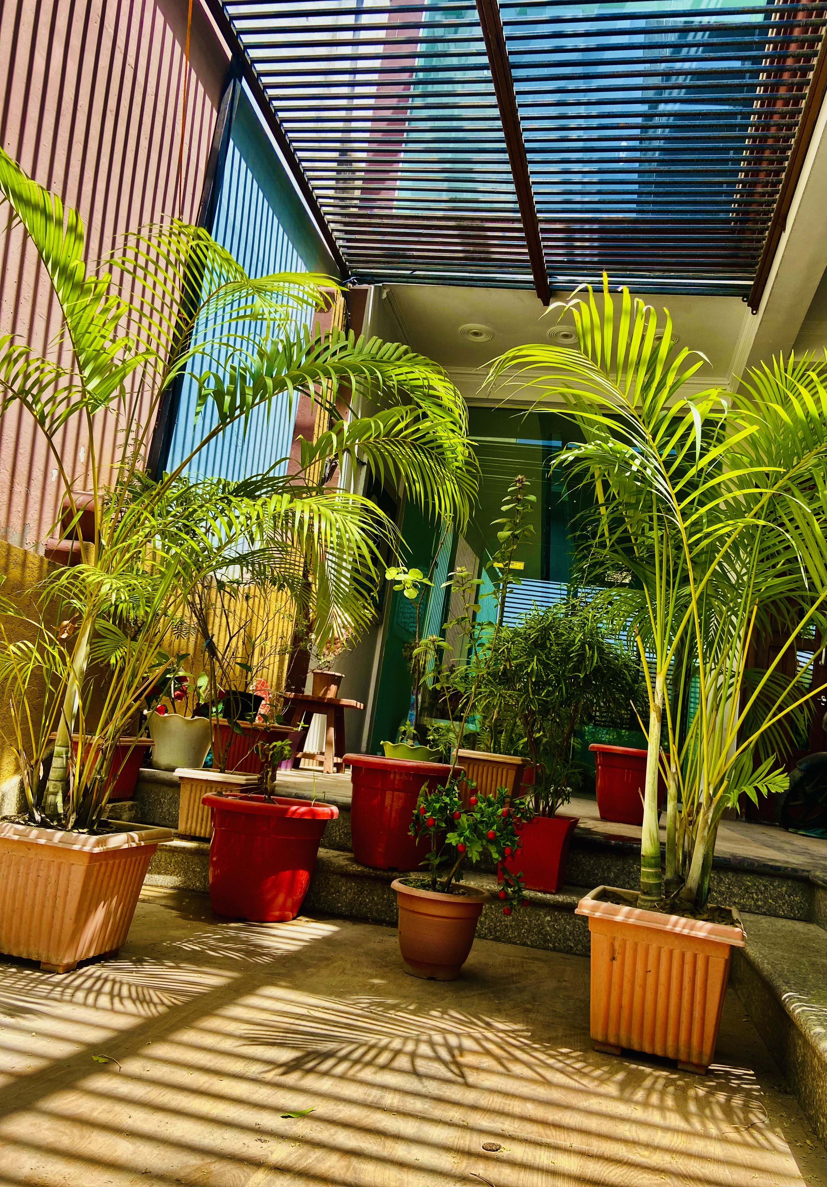 Aarush homestay