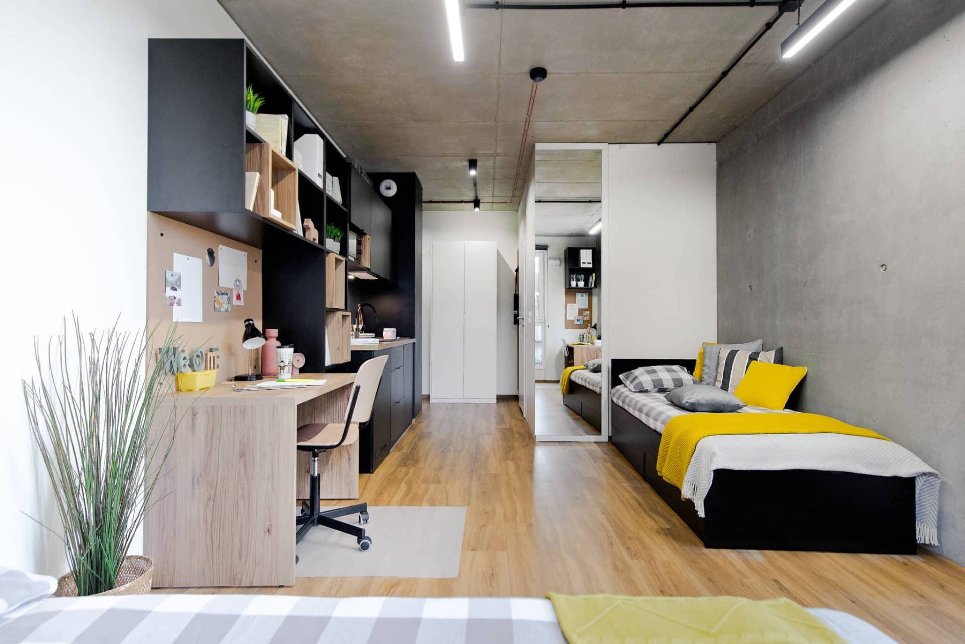 Premium Twin Studio