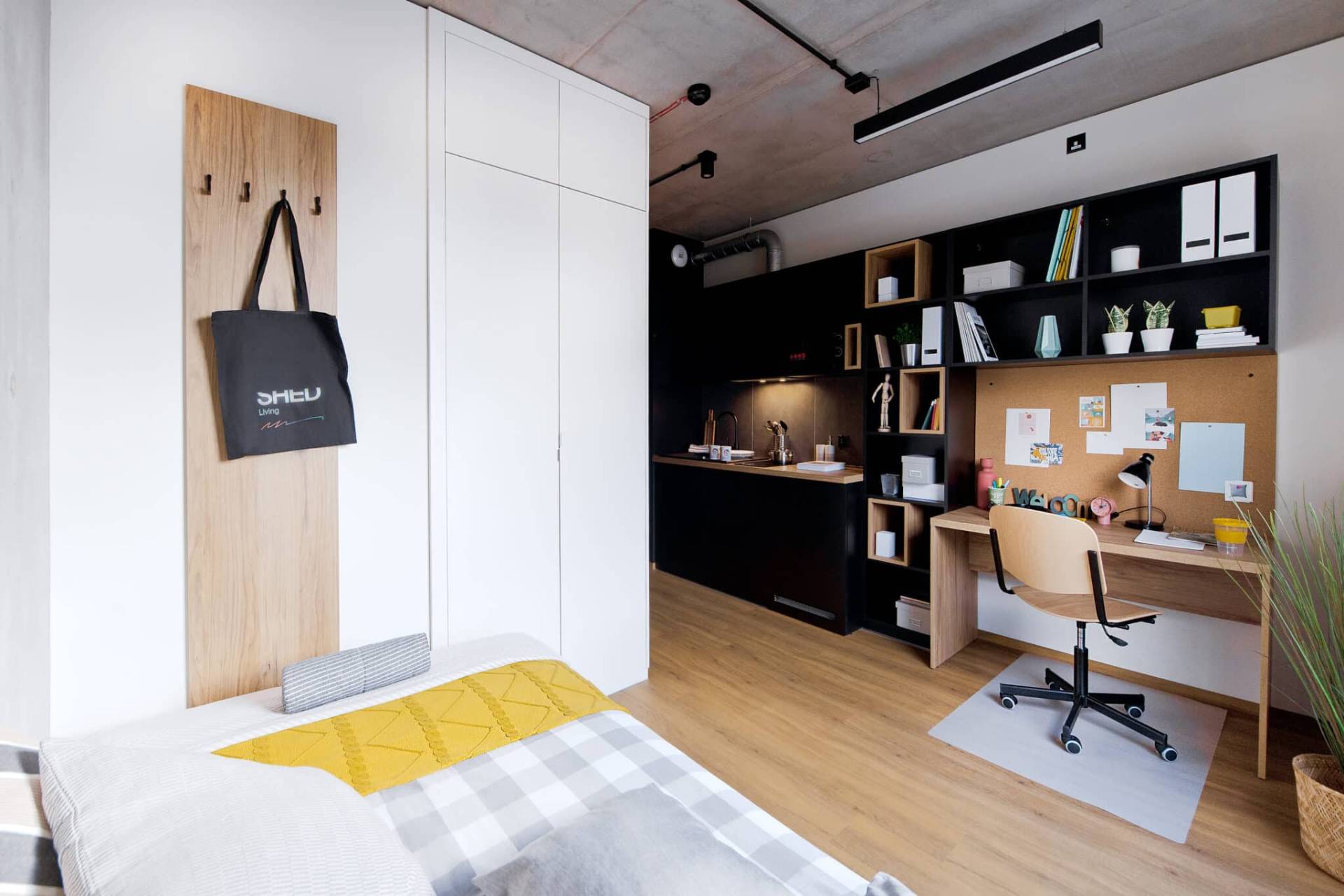 Compact Studio