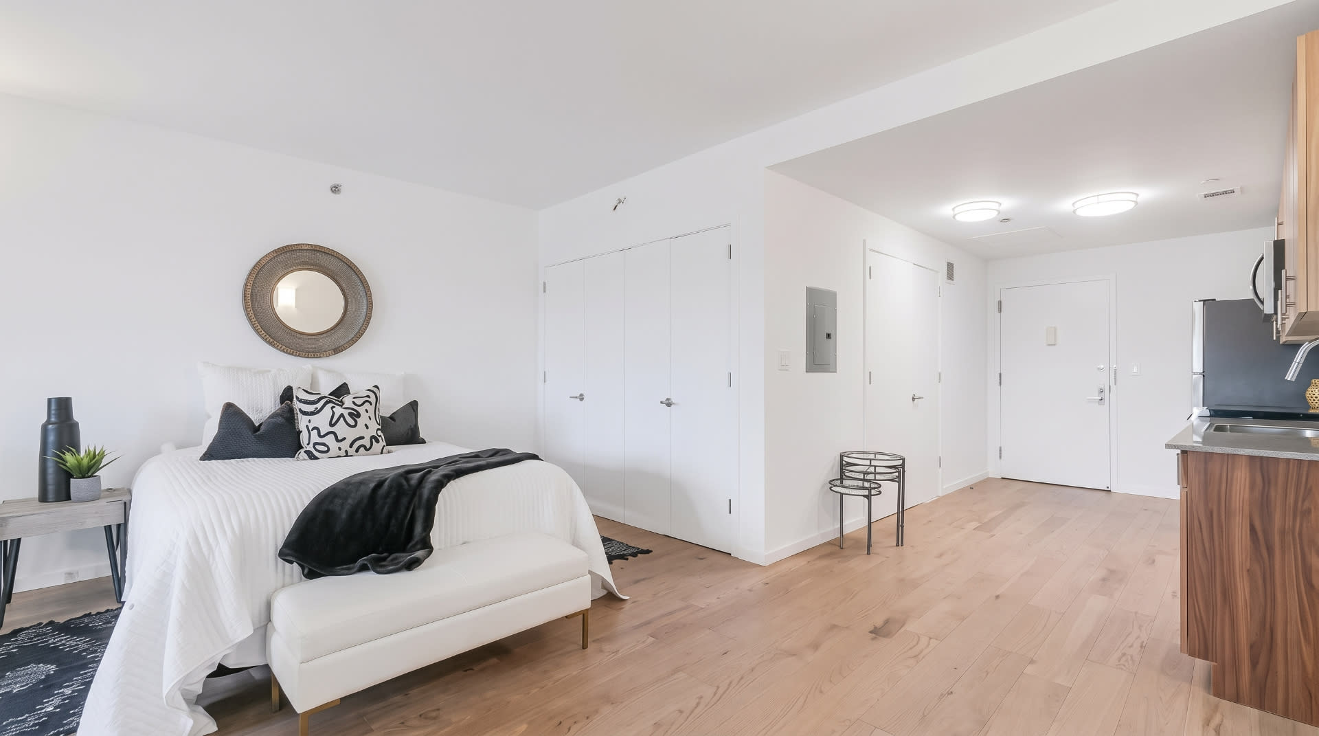 Studio – Standard