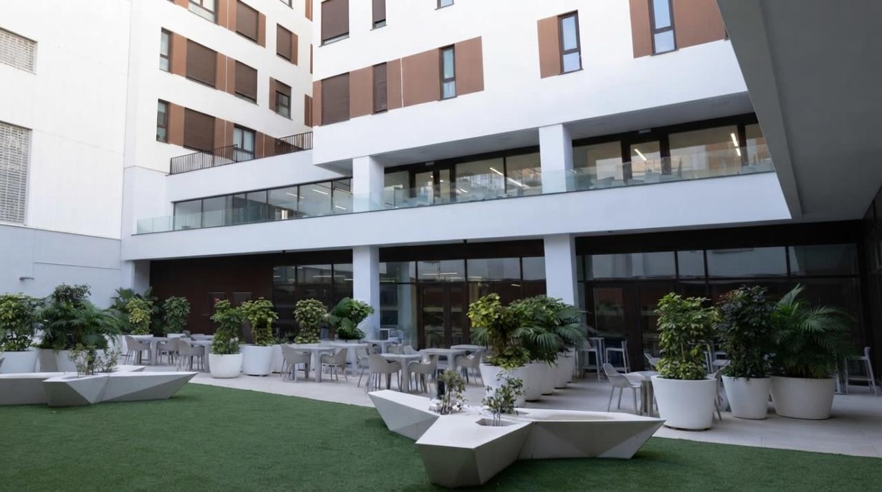 Single in apartment in València