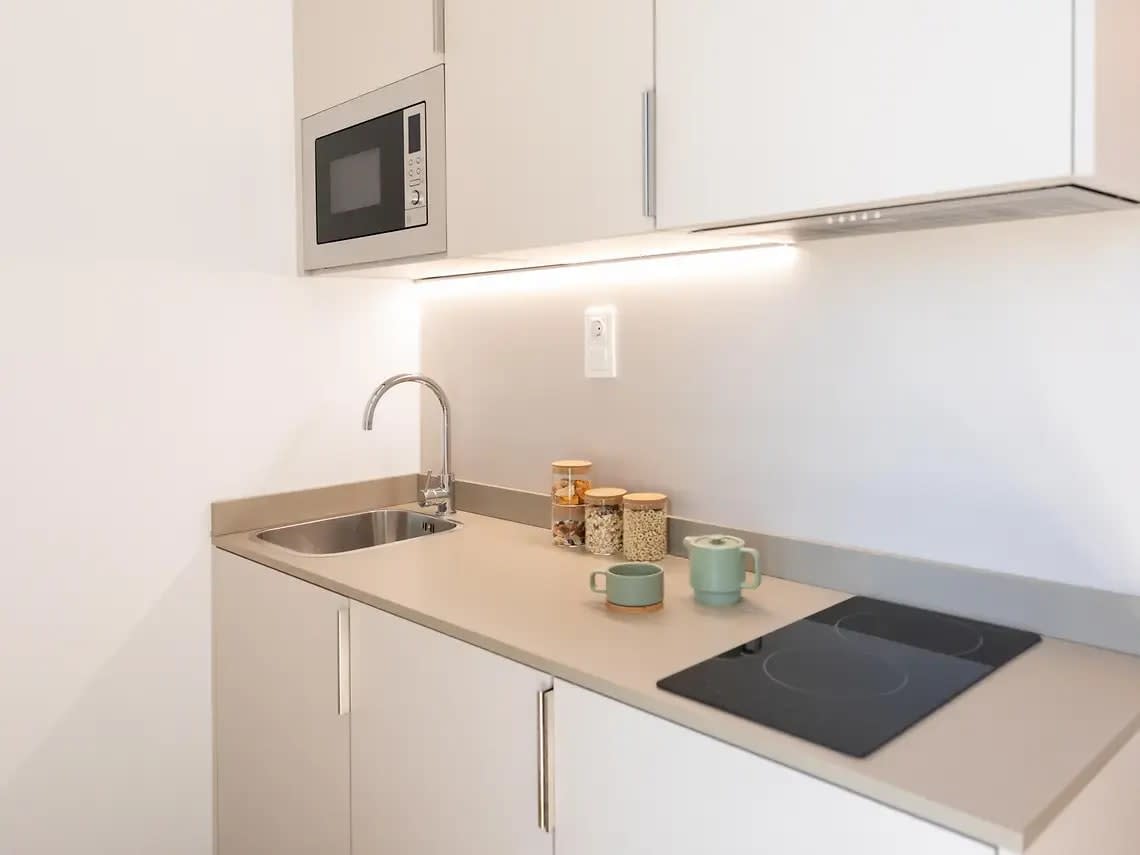 Single Plus with Kitchen in Sevilla 20