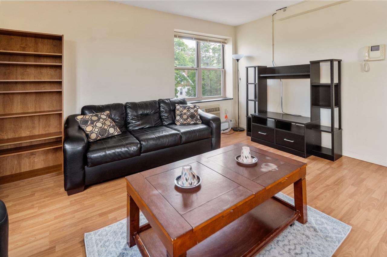 Private Room in 3 Bedroom Apartment in Ithaca 141