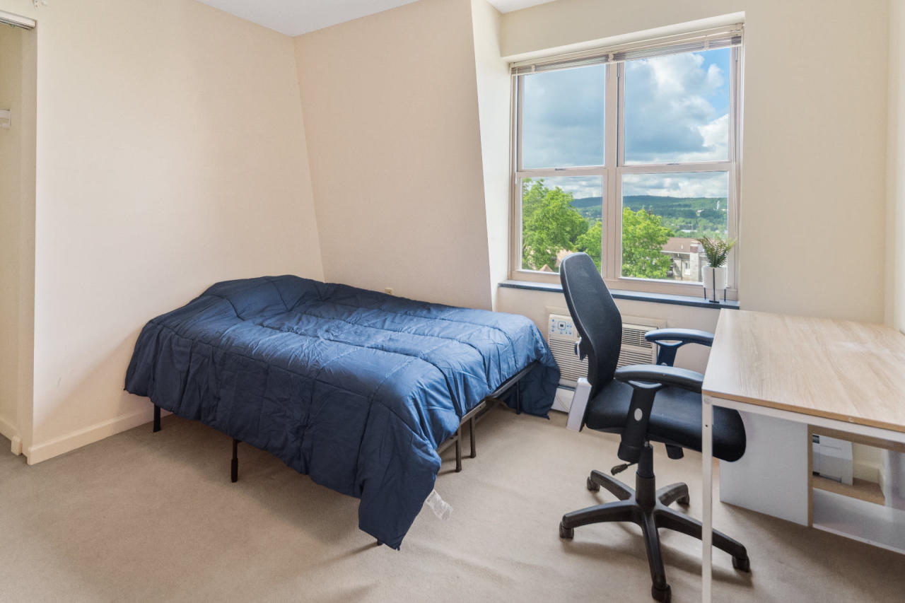 Private Room in 3 Bedroom Apartment in Ithaca 137