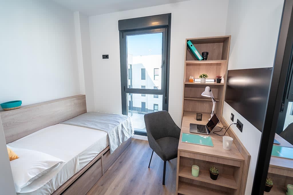 Single in apartment in Sant Vicent del Raspeig 15
