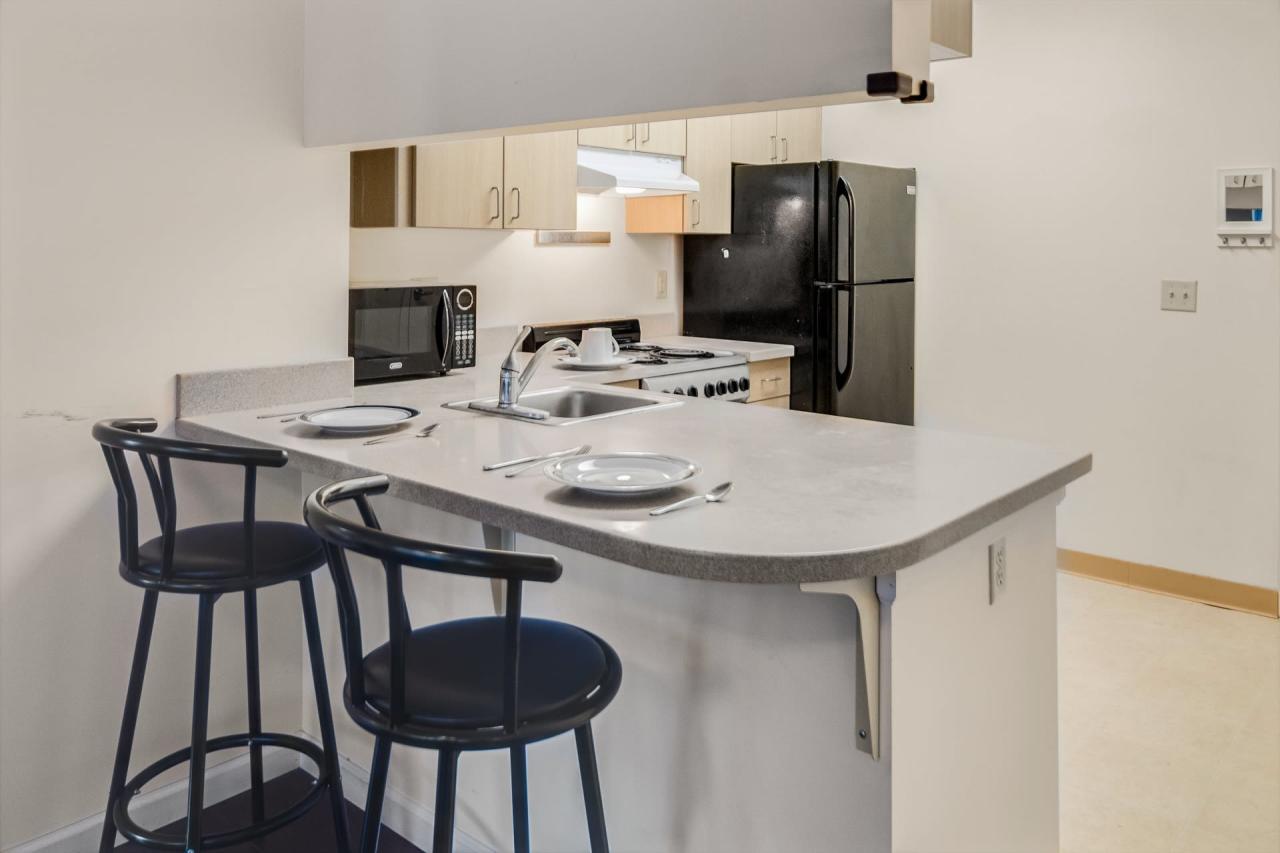 Private Room in 1 Bedroom apartment in Ithaca 84
