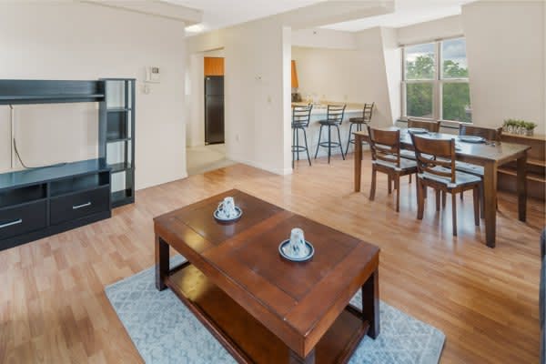 Private Room in 3 Bedroom Apartment in Ithaca 37