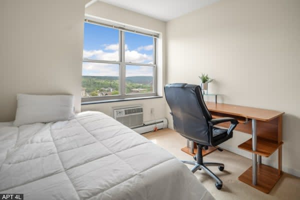 Private Room in 3 Bedroom Apartment in Ithaca 211