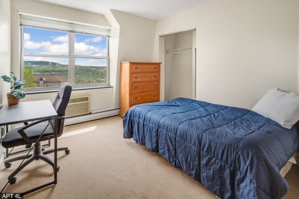 Private Room in 3 Bedroom Apartment in Ithaca 208