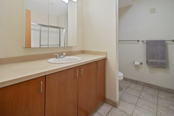 Private Room in 3 Bedroom Apartment in Ithaca 261