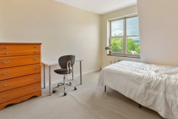 Private Room in 3 Bedroom Apartment in Ithaca 218