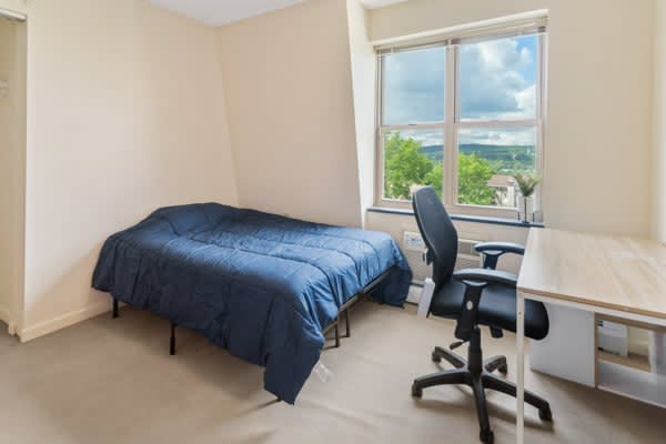 Private Room in 3 Bedroom Apartment in Ithaca 245